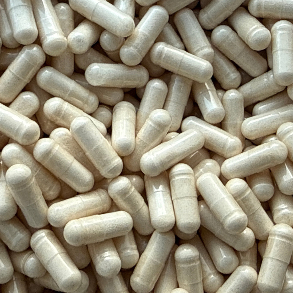 Beta-Ecdysterone 98% – Capsules – BulkLab Nutrition