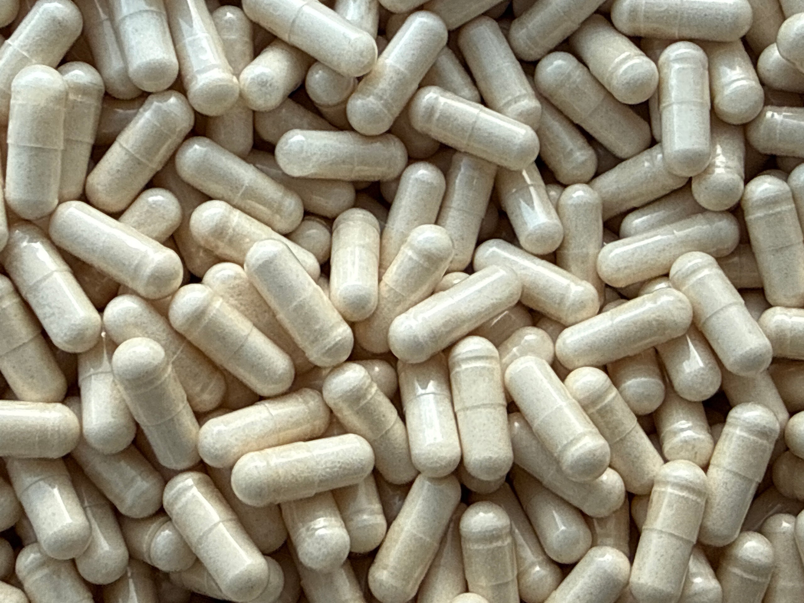 Ecdysterone 98% – Bulk Capsules – BulkLab Nutrition