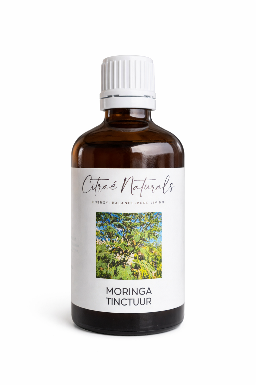 MORINGA TINCTUUR 100ml
