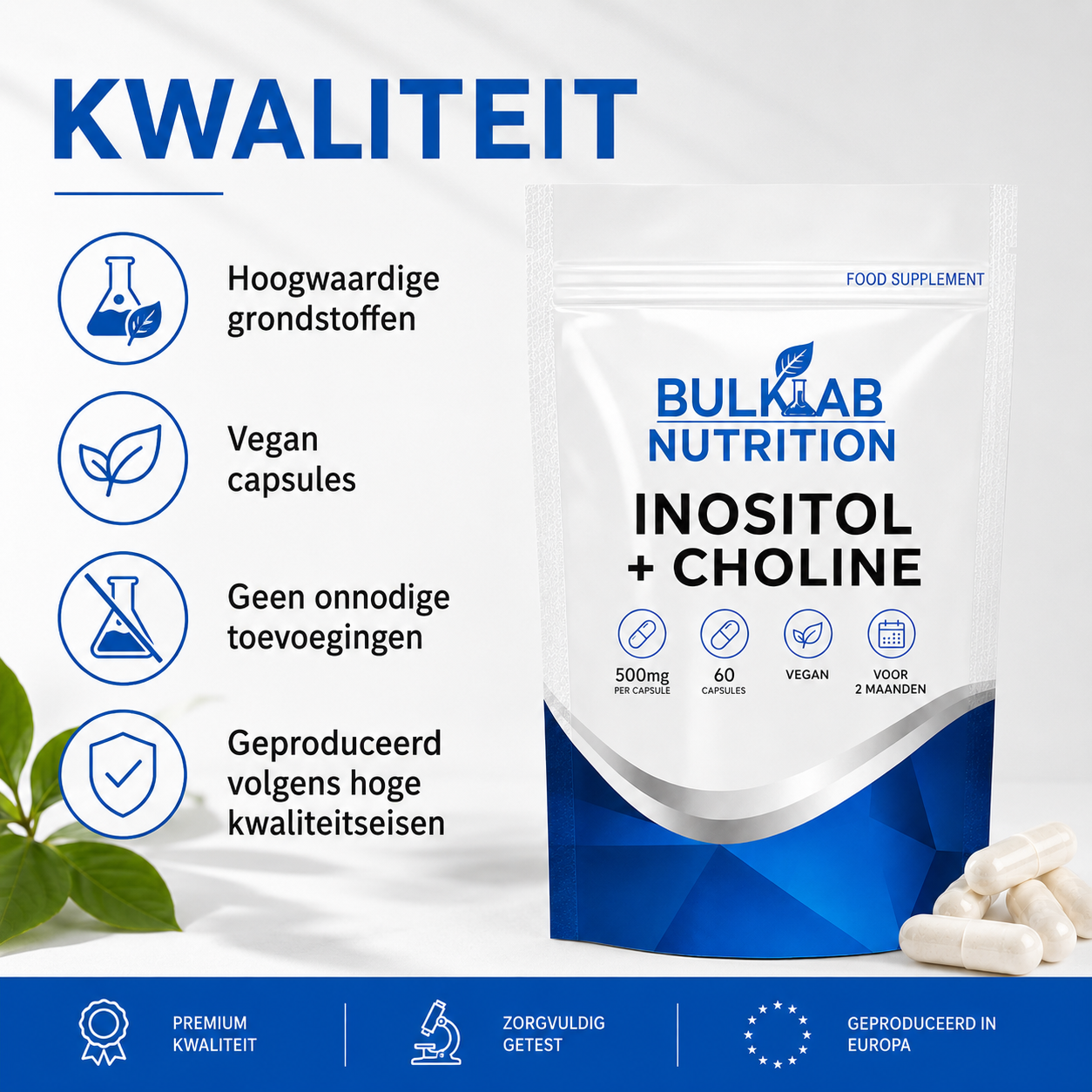 Inositol + Choline - Capsules - BulkLab Nutrition