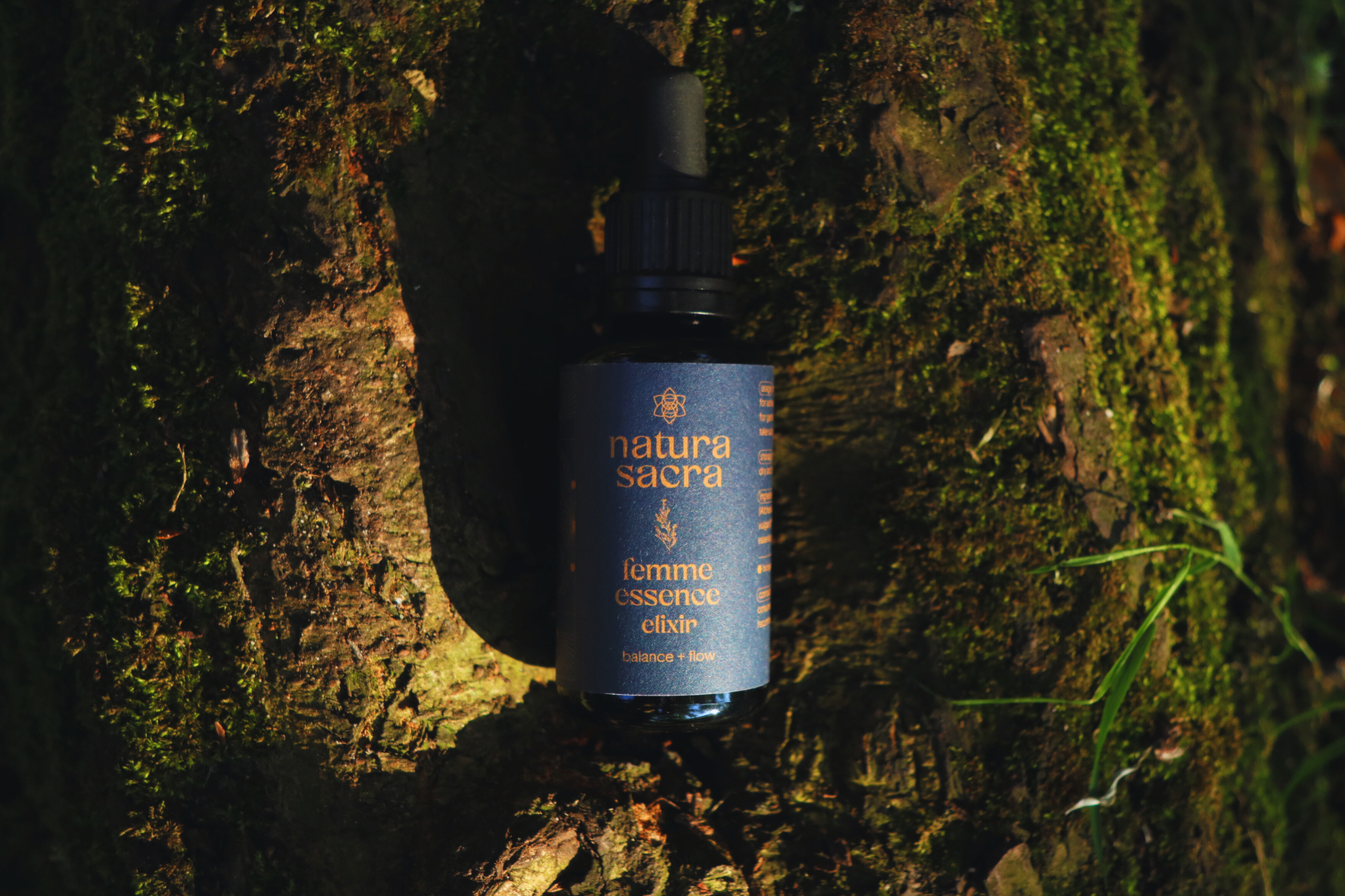 Coleção Femme Encarnada