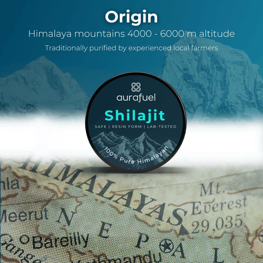 Pure Shilajit Resin from Himalaya - 100% authentic & purified