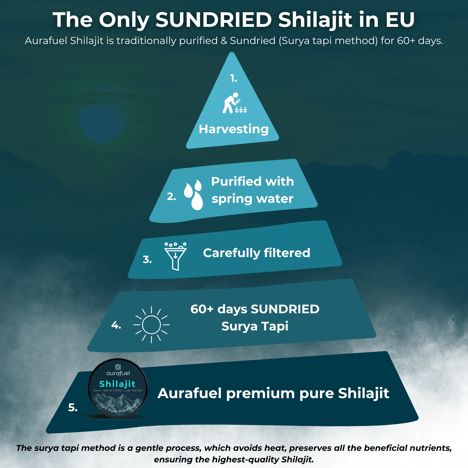 Pure Shilajit Resin from Himalaya - 100% authentic & purified