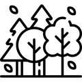 Plant et træ