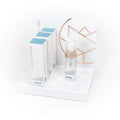 Ecrã de Espuma de Limpeza (50 ml)